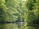 le Don au bois de Juzet 